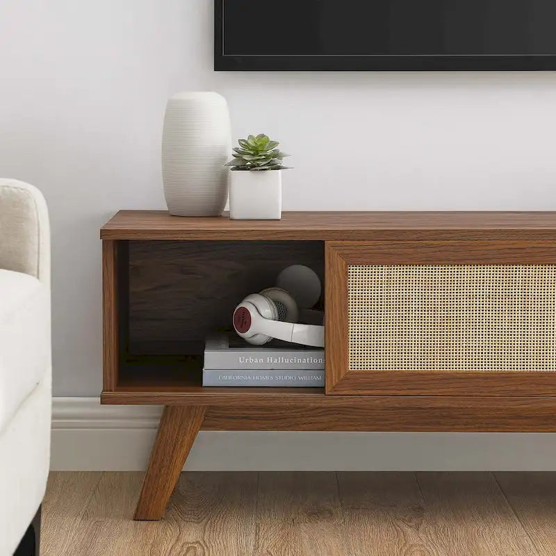 47" Rattan Sliding Door TV Stand with Cable Management - Fits up to 52" TVs